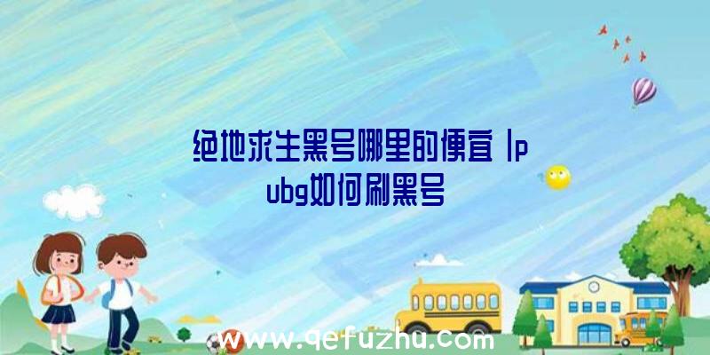 「绝地求生黑号哪里的便宜」|pubg如何刷黑号